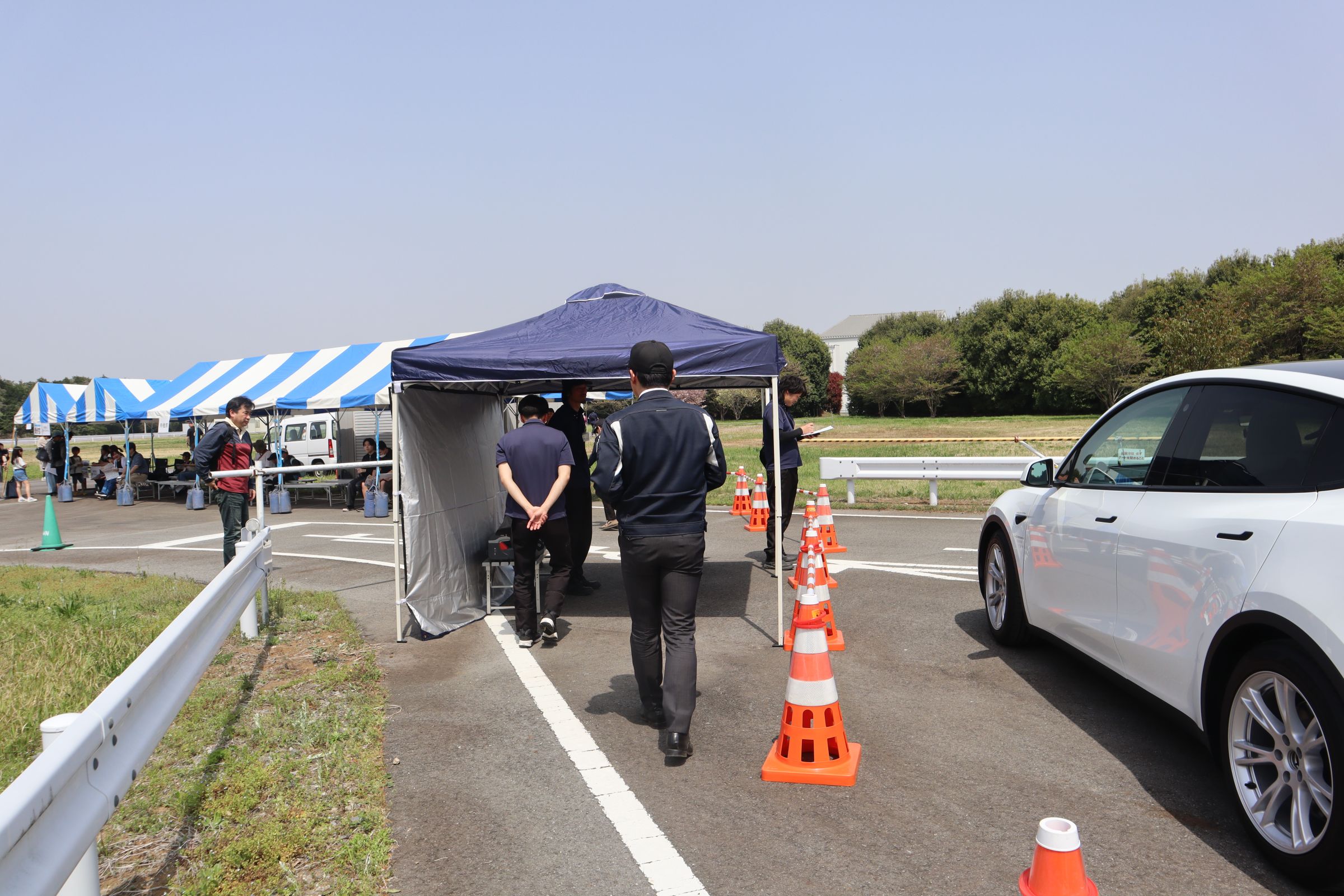サンプル画像