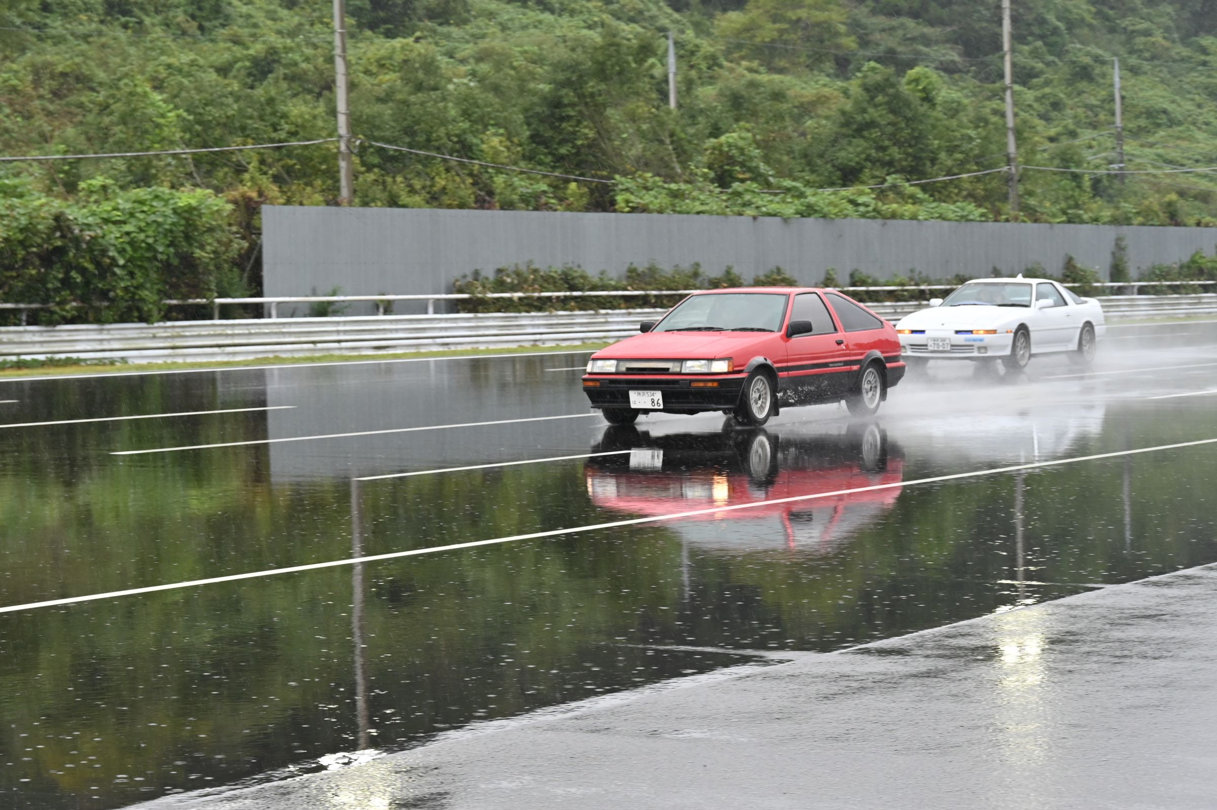 サンプル画像
